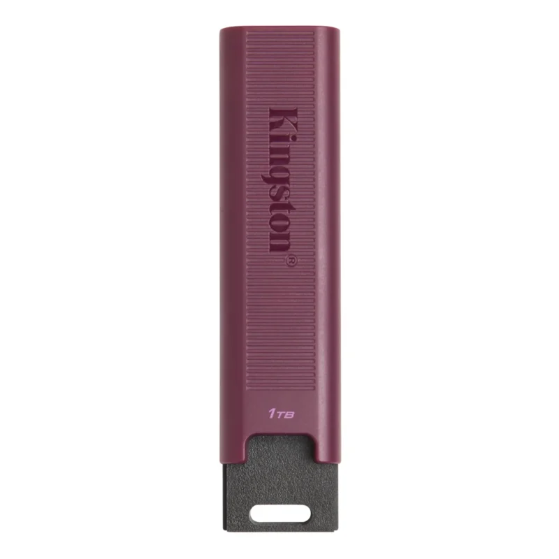 PenDrive Kingston DataTraveler Max 1TB